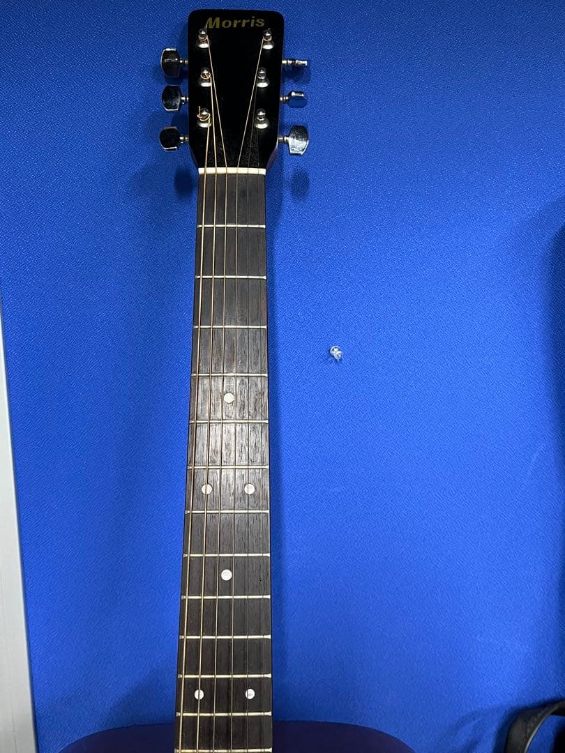 Morris モーリス　アコースティックギター MD-501 ドレッドノート