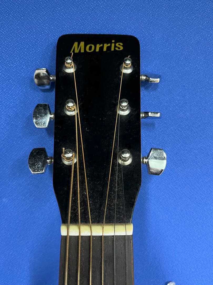 Morris モーリス　アコースティックギター MD-501 ドレッドノート