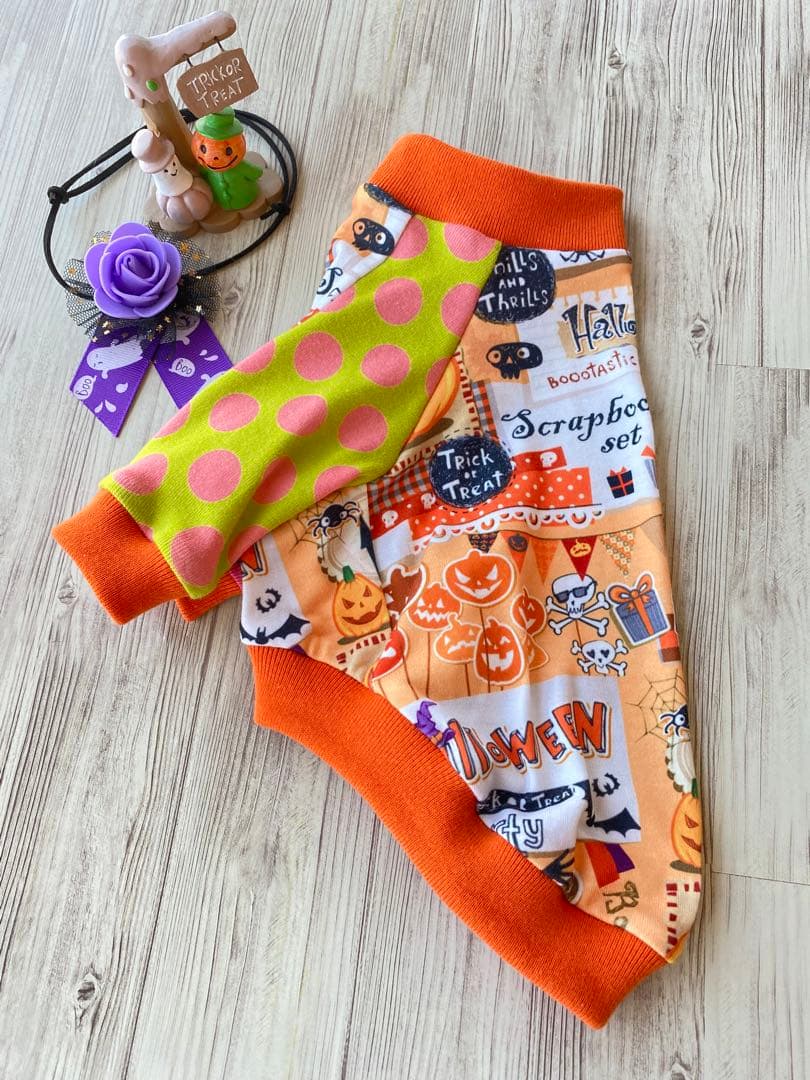 犬服  ラグラン(Ｓ)   ꒡̈⃝Lily꒡̈⃝ハンドメイド