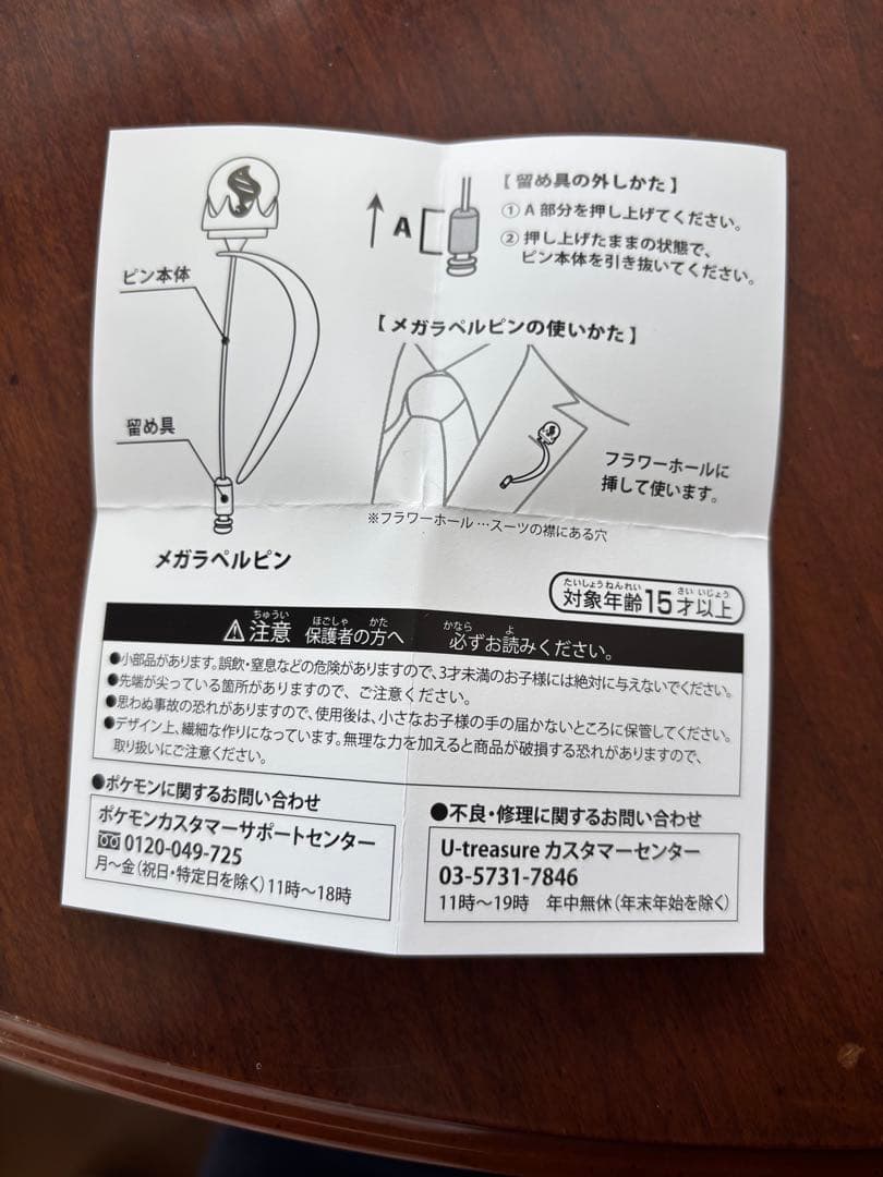 ポケモン　メガラペルピン　ダイゴ　ポケモンセンター限定