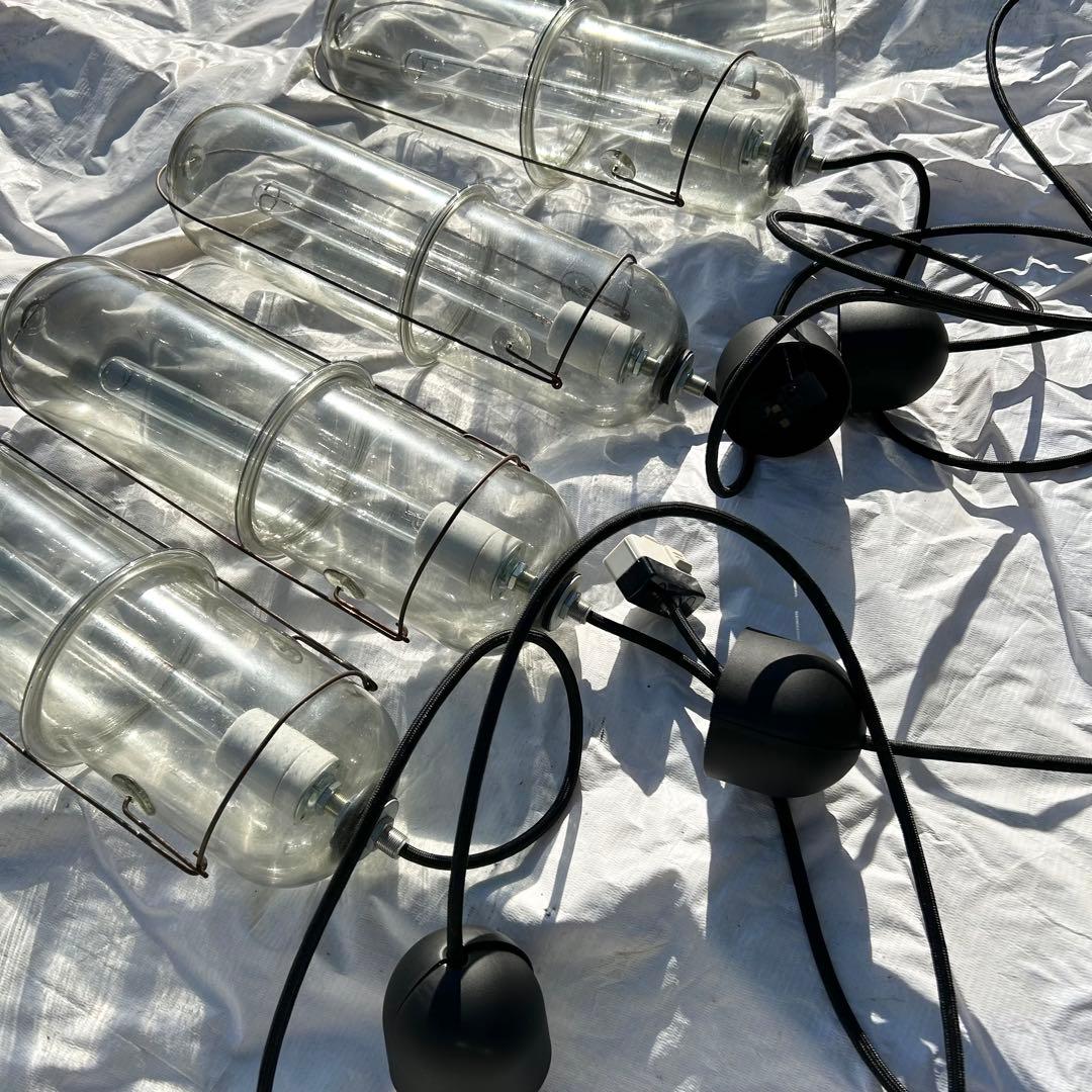 ピーター・アイビー　ライトカプセル　L クリアガラス ペンダントライト