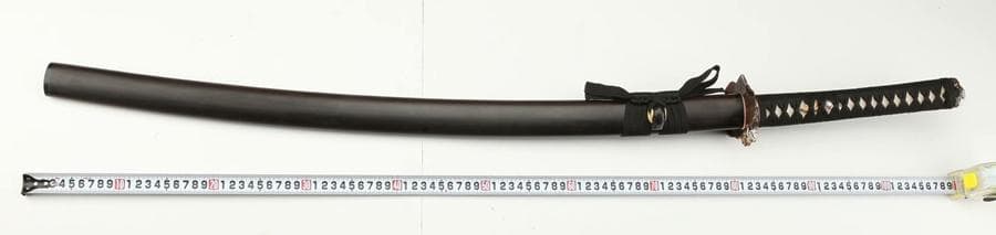 カエルの王子 日本刀 模造刀 居合刀 武士道 武蔵 鑑賞用 手鍛造打