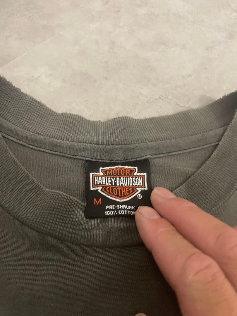 レア！90sヴィンテージハーレーTシャツ！パンサー