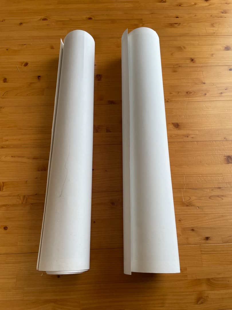 FREEDOM-フリーダム- B2サイズポスター2枚セット　大友克洋　AKIRA