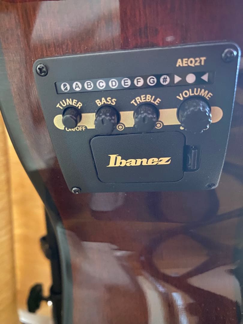 Ibanez アコースティックベース フレットレス　ケース付き