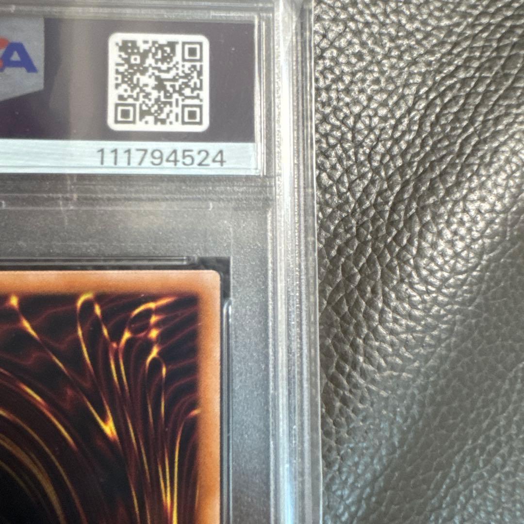 誇りと魂の龍 (psa10)