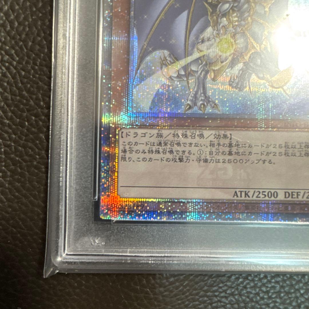 誇りと魂の龍 (psa10)