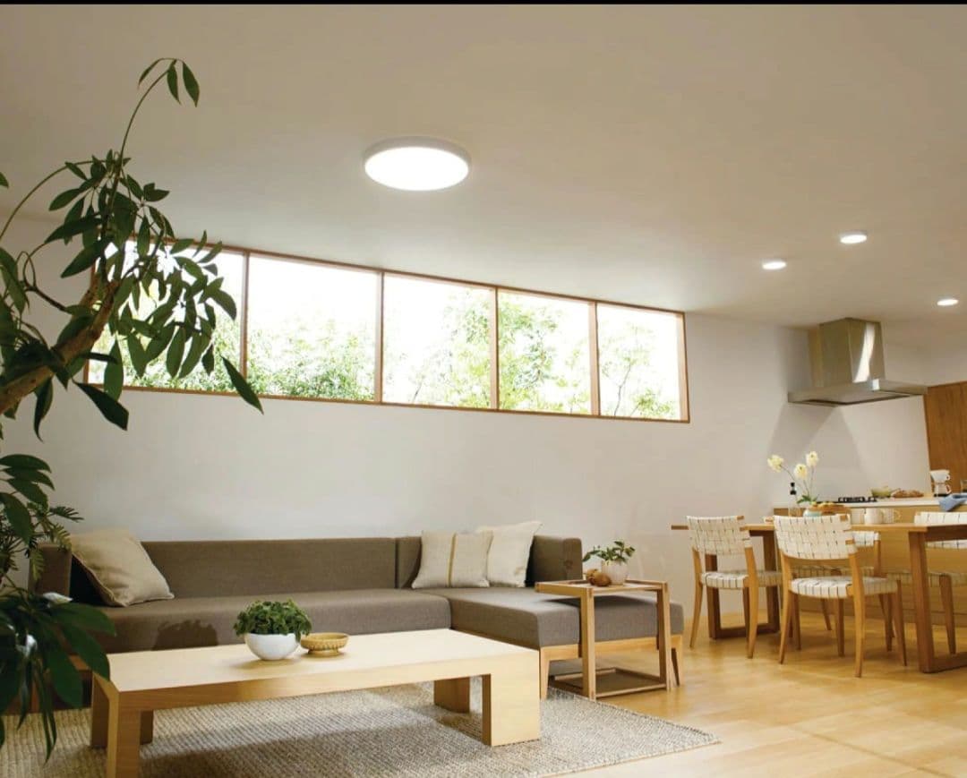 OL291364BR シーリングライト