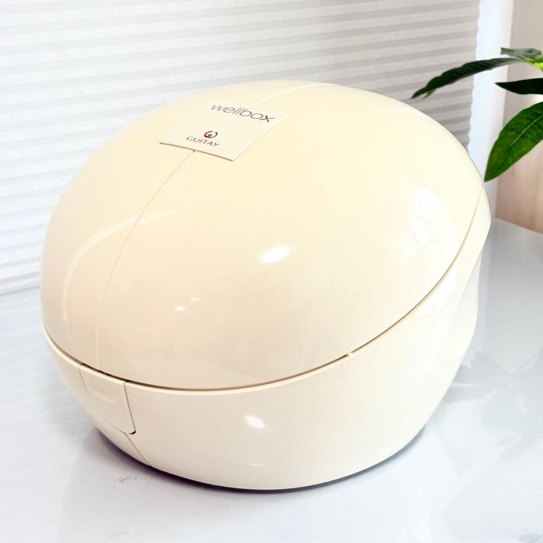 ウェルボックス エンダモロジー 痩身エステ 動作良好 予備フィルター付き