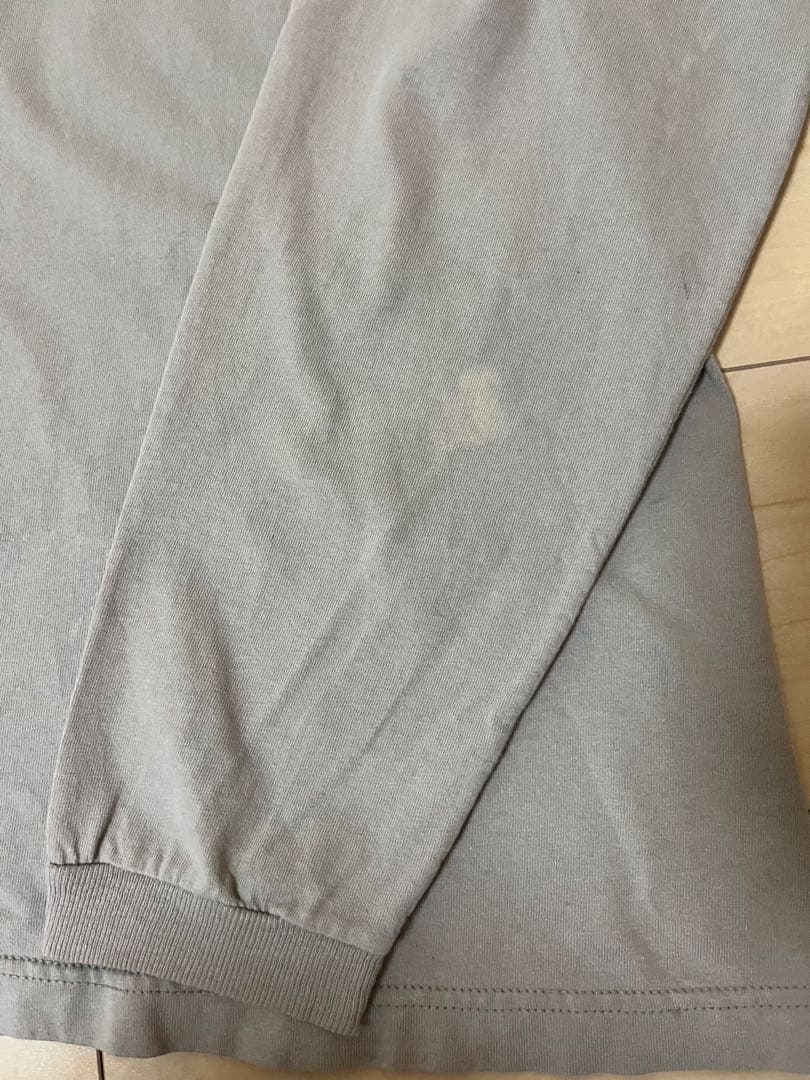 patagonia パタゴニア べネフィシャル Tシャツ ベージュ サイズL