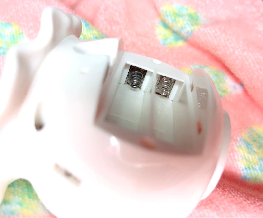 ☆FromJAPAN公式アカウント01☆まめゴマ飼育日記☆