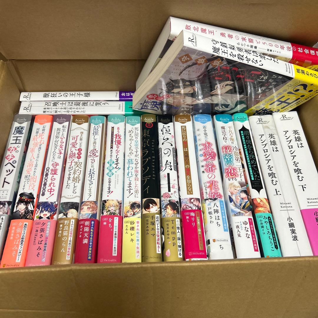 bl小説大判サイズ纏め売りセット　アンダルシュノベルズ他