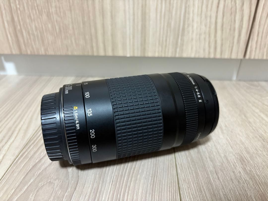 【超美品】CANON キヤノン EF 75-300mm F4-5.6 II 望遠