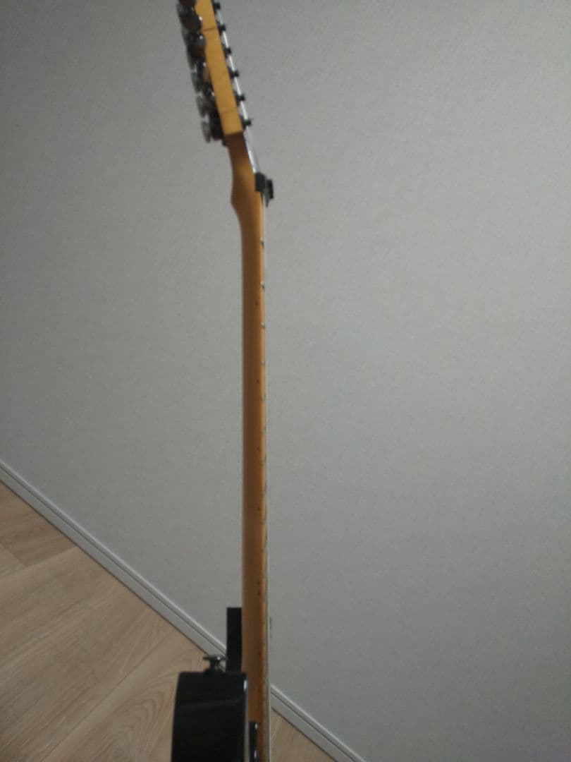 ギター Ibanez RG2450MZ-GK Prestige