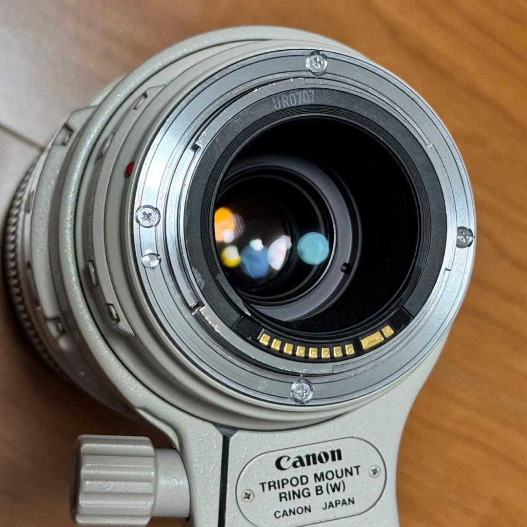 望遠 Canon EF 100-400mm F/4.5-5.6 L IS USM