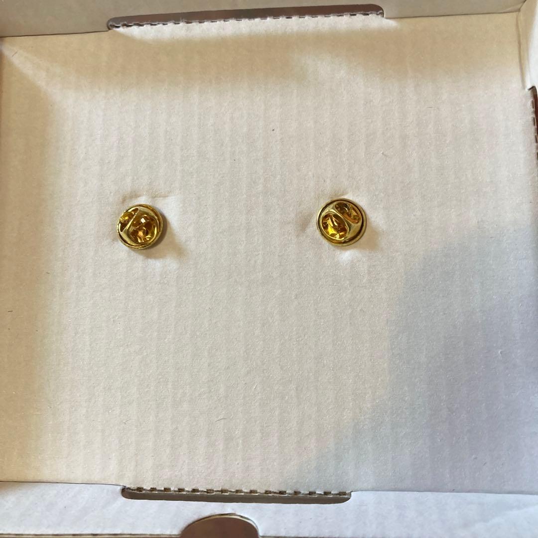 ピンズ　バッジ　2点　セット　スパイダーマン　新品未使用　パッケージ無し