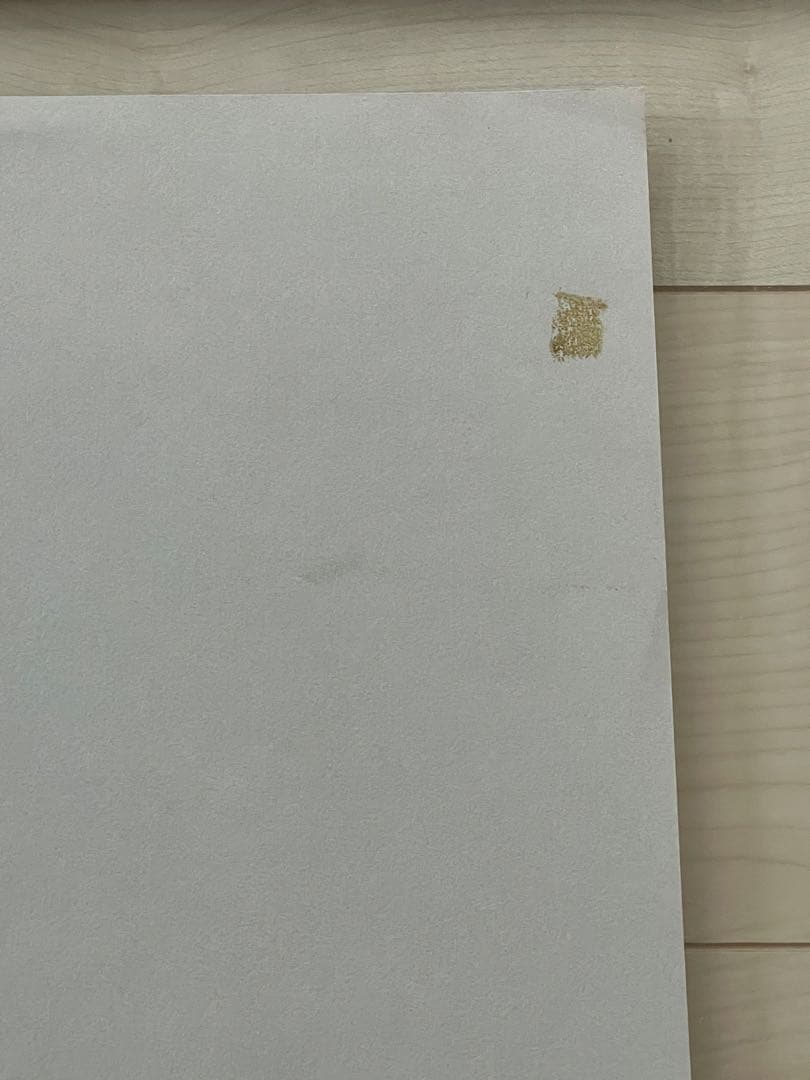 徳田宏行　黄色いブラウス　パステル画　白日会会員　女性人物像人気作家