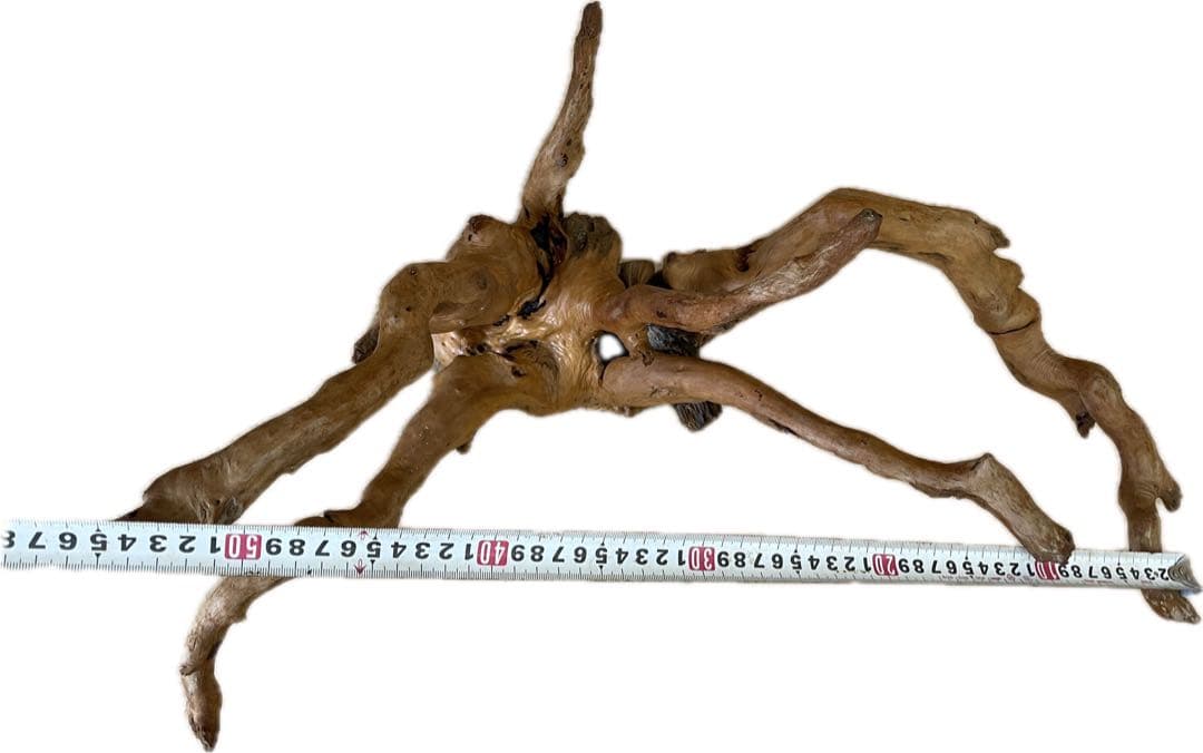 水槽用流木 大きめ 自然な枝状