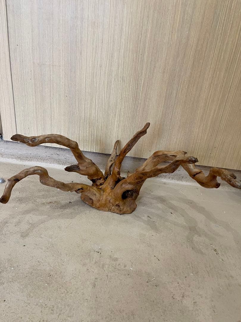 水槽用流木 大きめ 自然な枝状