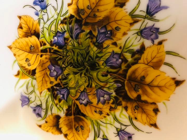 超希少　フランクリンミント社　イギリス　1981年　ボール　鳥　大鉢