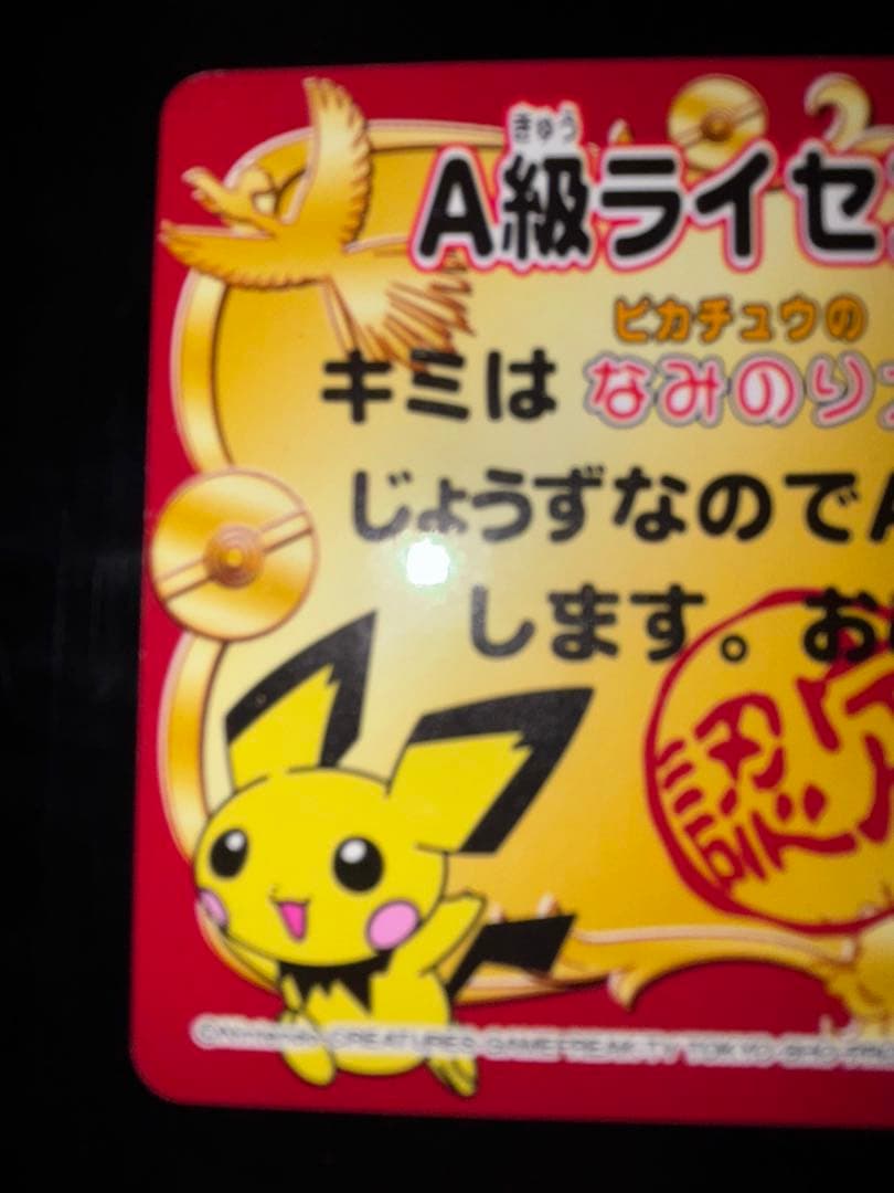 A級ライセンス　認定証　ピカチュウ　なみのり大冒険　ポケモン　2種