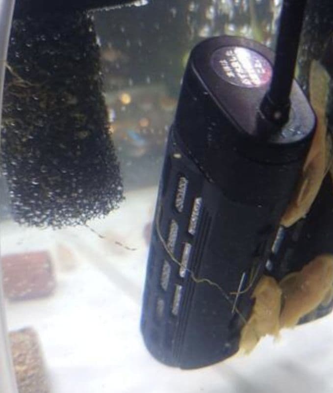 GEX製アクリル水槽 400スリム型 付属品多数