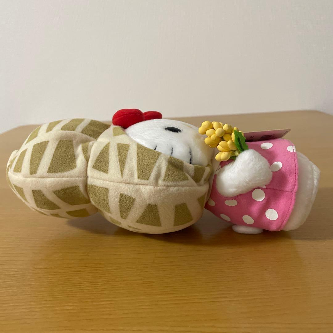激レア タグ付き 千葉 房総限定 ハローキティ ぬいぐるみ ご当地キティ 落花生