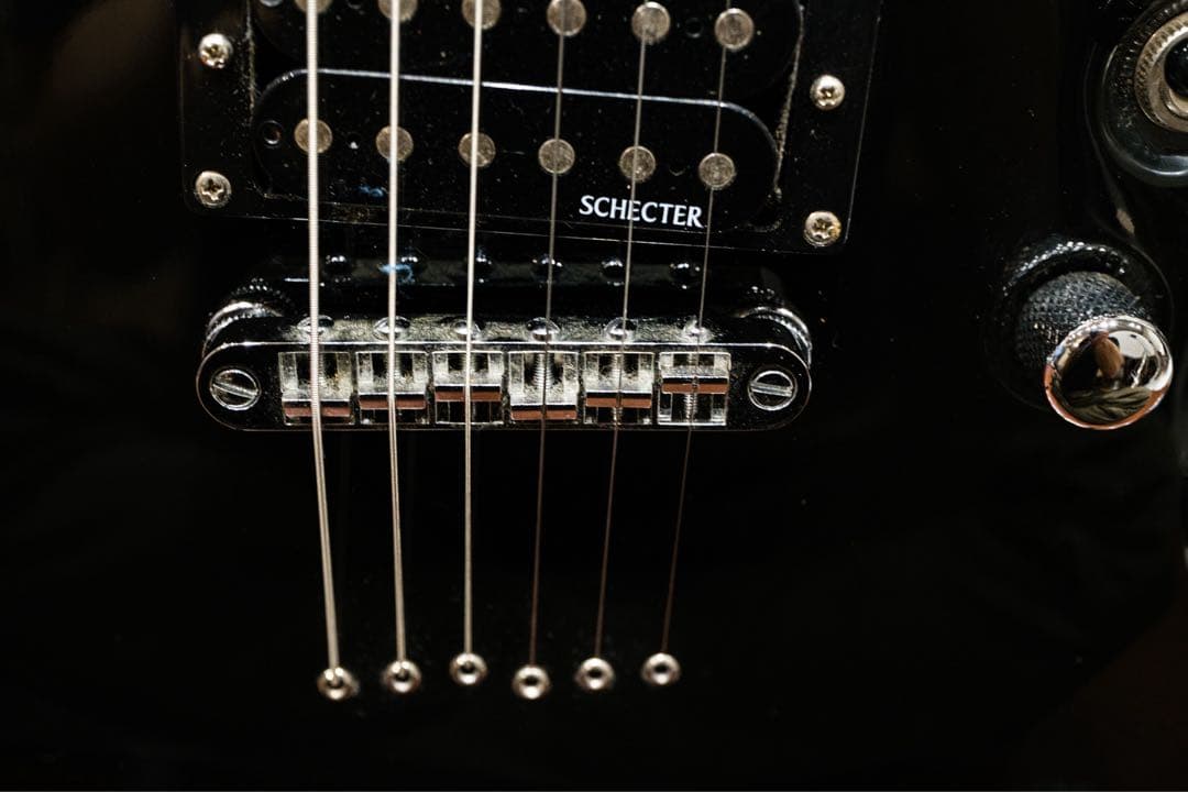Schecter OMEN6 ソフトケース付き
