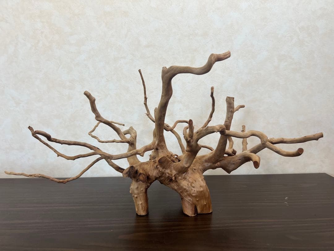 63001 ブランチウッド　流木　アクアリウム　沈水確認済