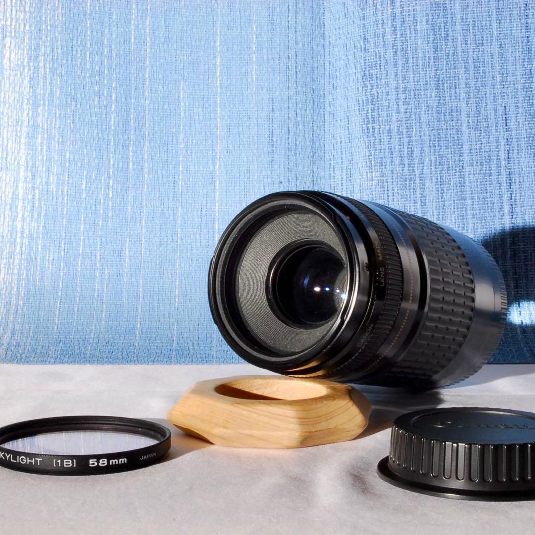 ✨大人気！超望遠✨Canon EF75-300mm USM✨フルサイズ✨