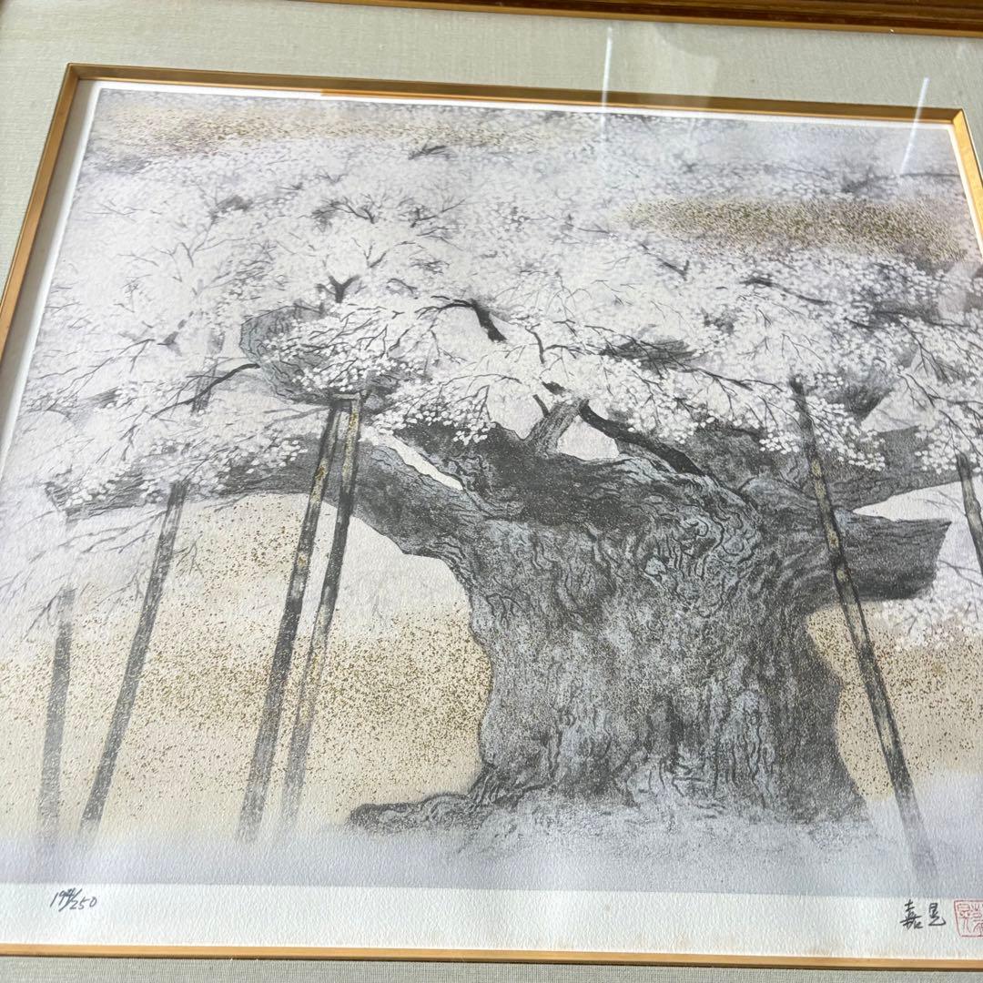 伊藤嘉晃 「淡墨桜」リトグラフ 194/250 共シール 額装 J
