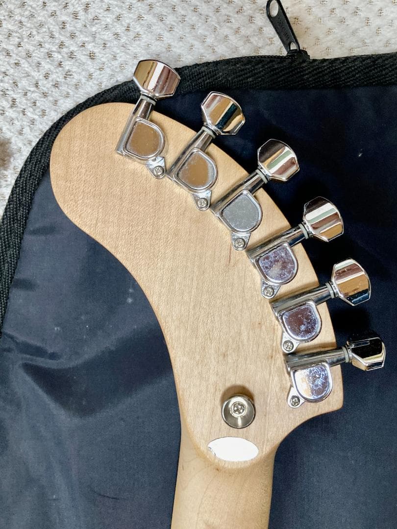 にっと！FERNANDES ZO-3　アンプ内蔵 専用ソフトケース付