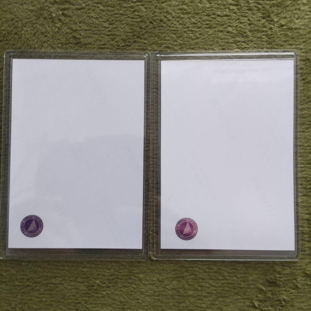 乃木坂46 遠藤さくら 直筆サイン 生写真 2枚セット