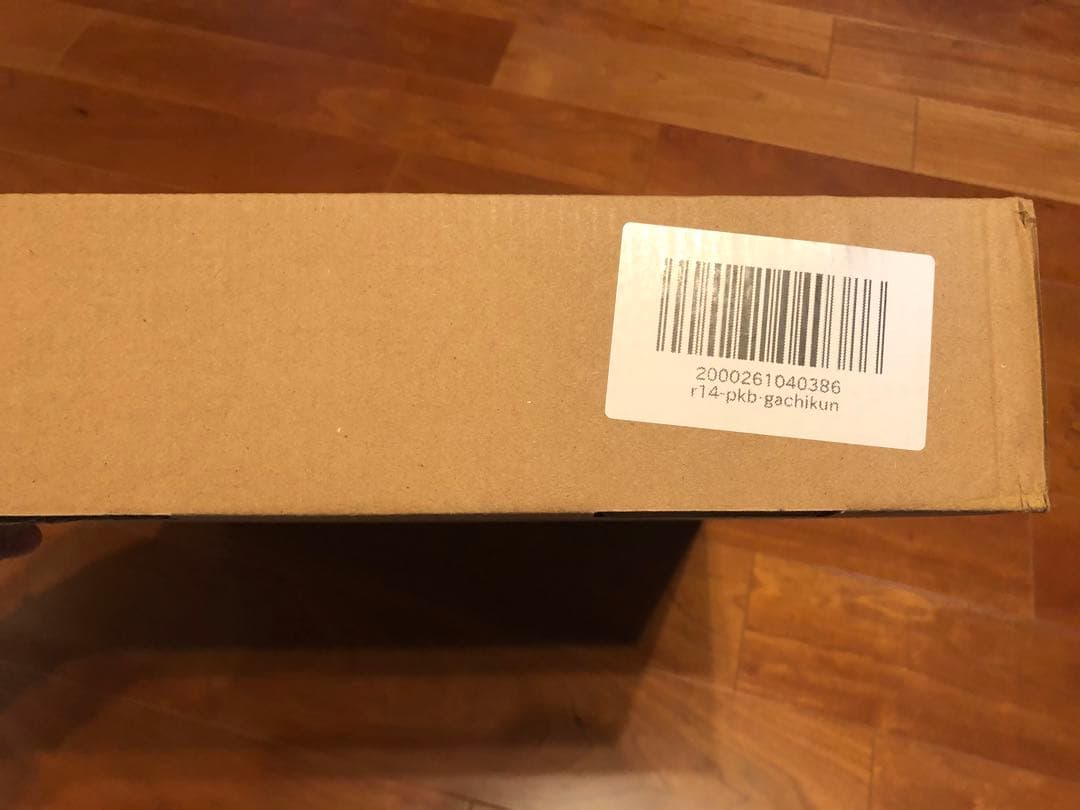 パンクワークショップ　PWS R14 Gachikun Model 新品未開封