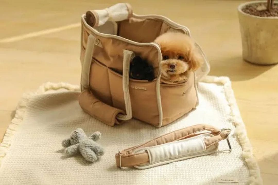 【ba&tang】ラインソフトキャリーバッグ　Ｍサイズ