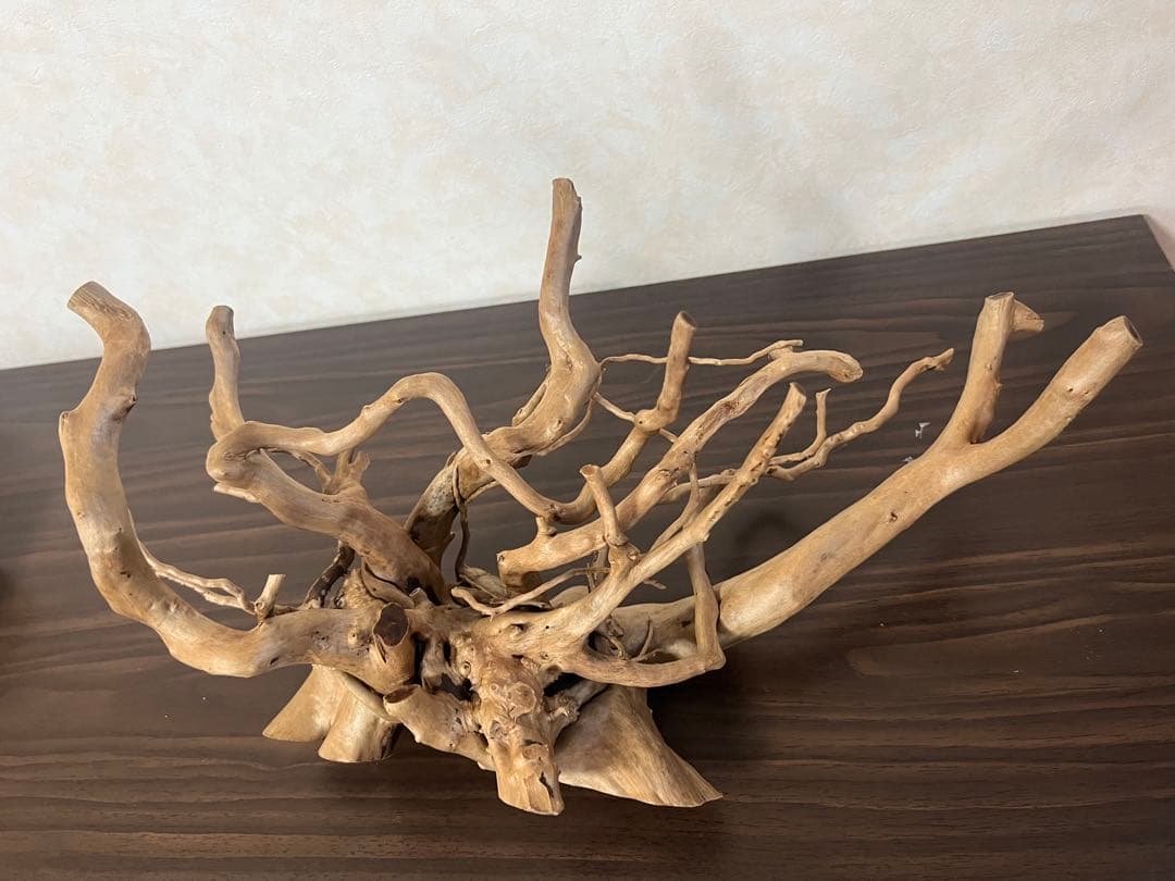 10116ブランチウッド　流木　アクアリウム 沈水確認済