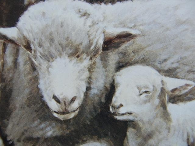 奈良岡正夫、【絆】、希少な額装用画集より、新品額装付