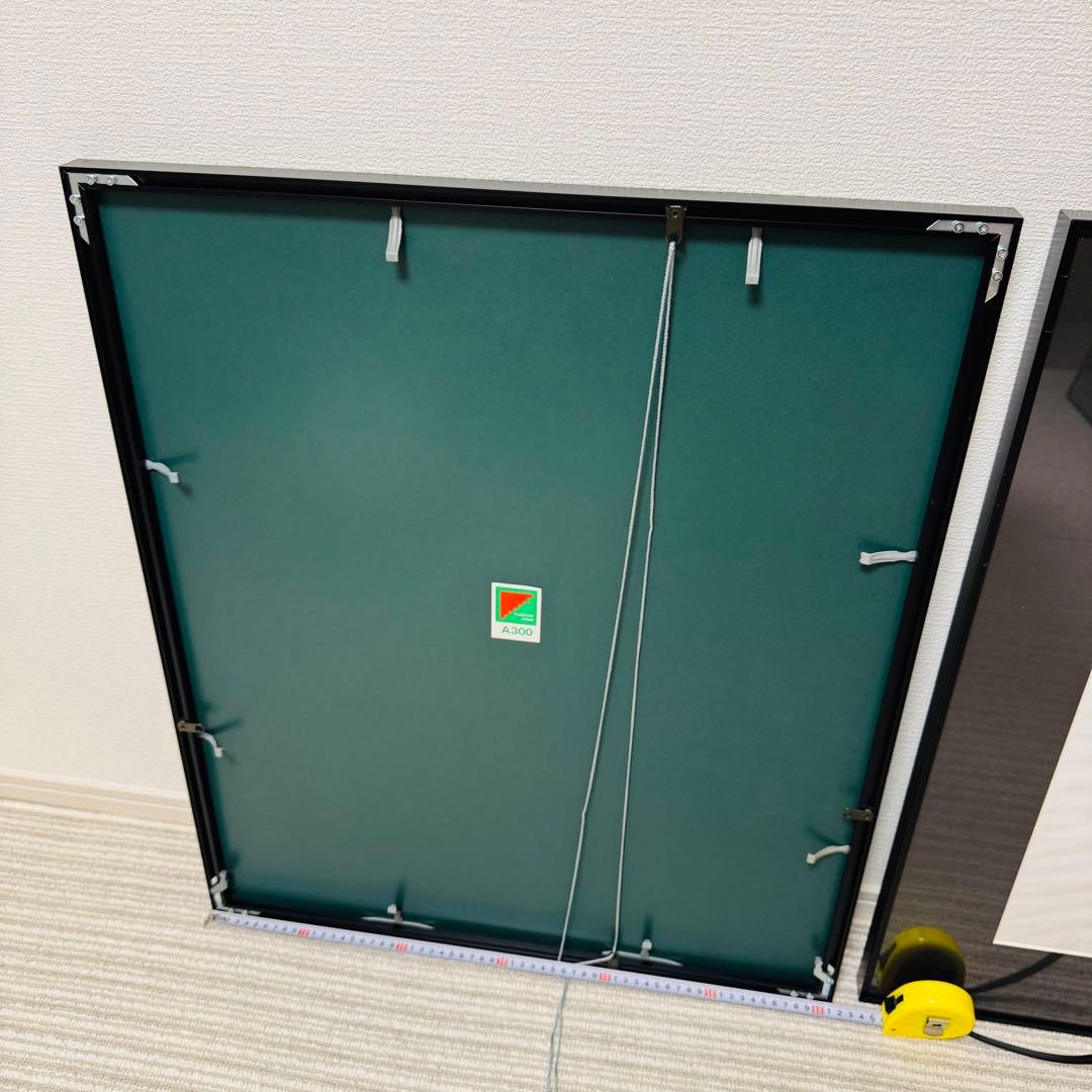 【9枚あり！】フジカラー A300 全紙 アルミ額縁