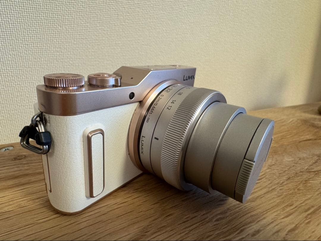 Panasonic LUMIX DC-GF10 ホワイト　解説本付き レンズ2本