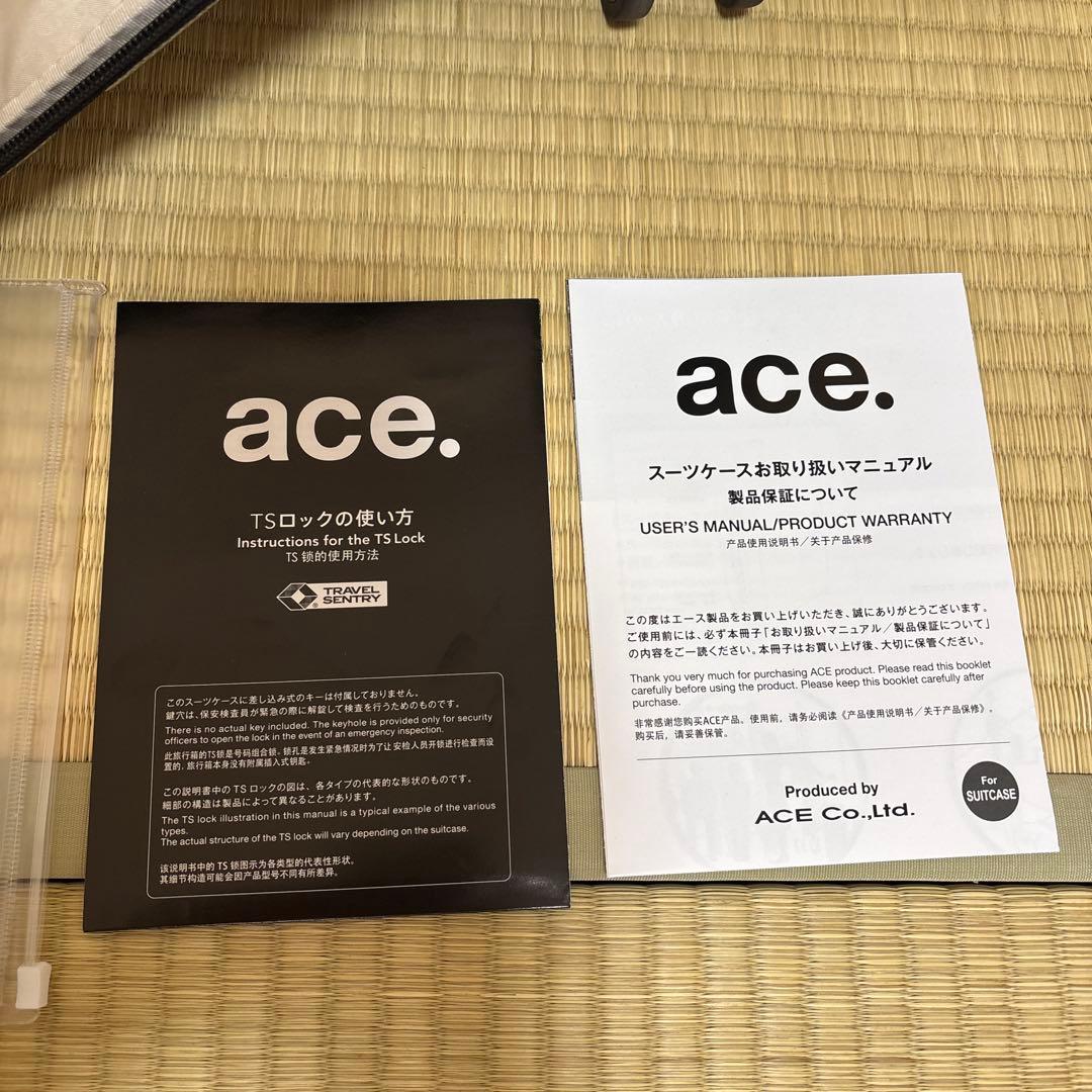 ace.／エース パリセイド3-Z スーツケース 21L