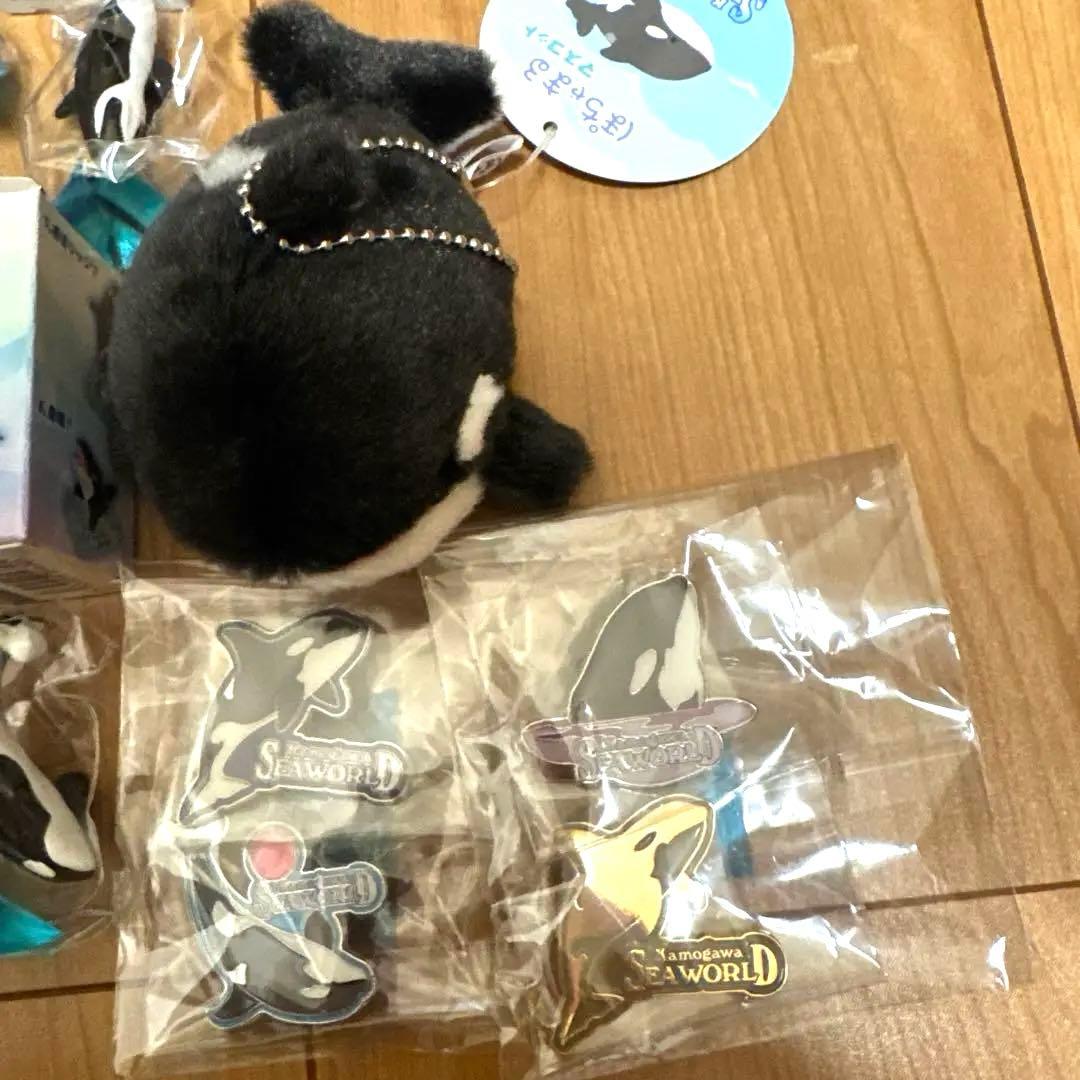 鴨川シーワールド　グッズセット