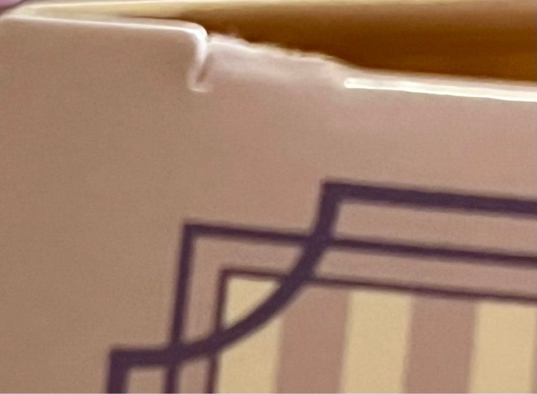 藤原樹 セット売り