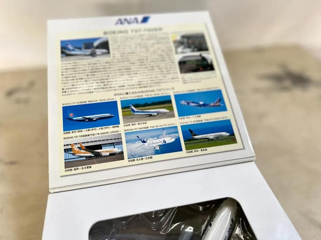 ANA　全日空　B737-700ER　Inspiration of JAPAN