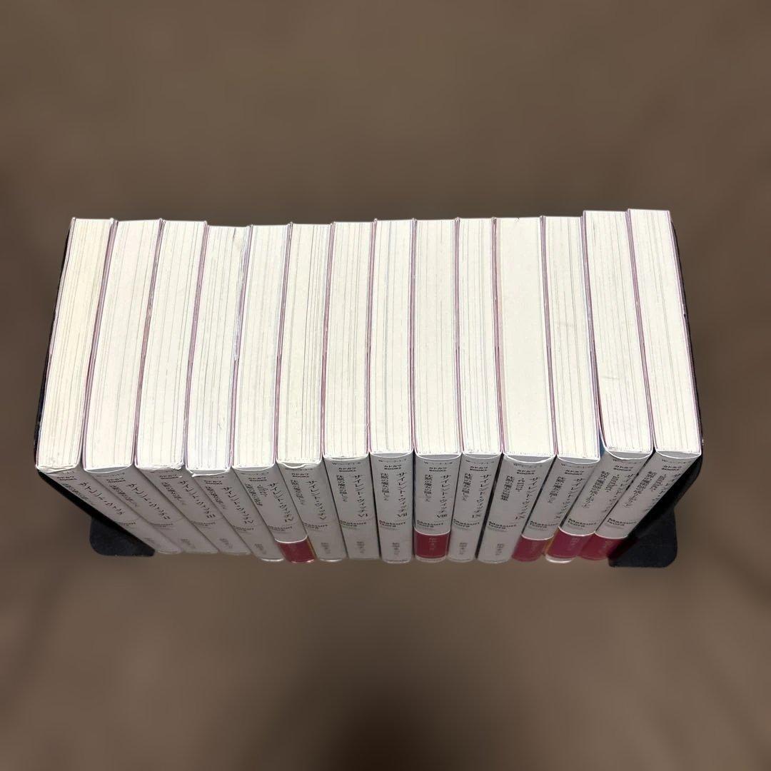 サイレント・ウィッチ 全巻 小説 ラノベ 全14冊