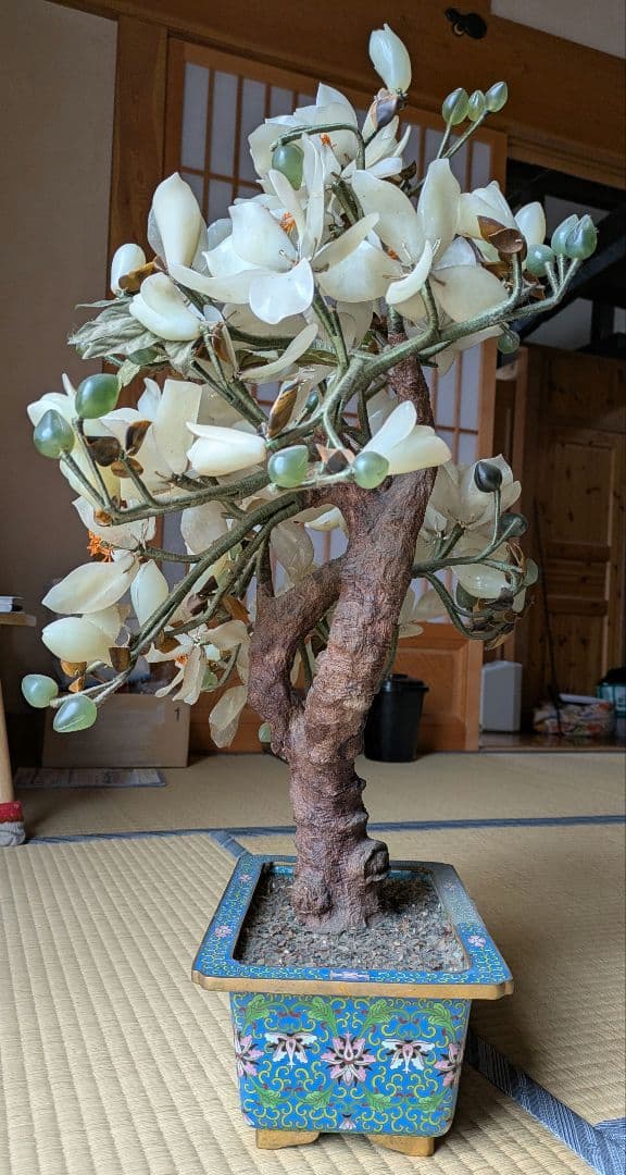 白玉 、玉蘭中型 置物