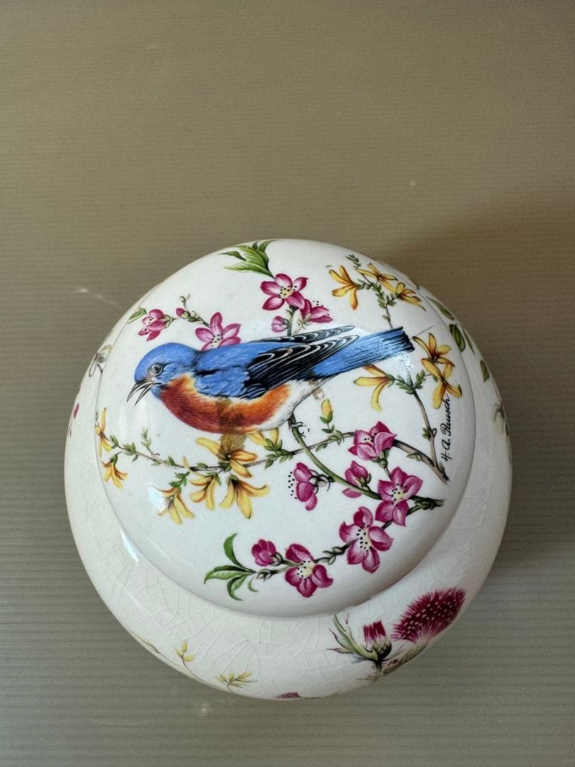 2789 ロイヤルコールドン  Cauldon 花鳥　茶壺