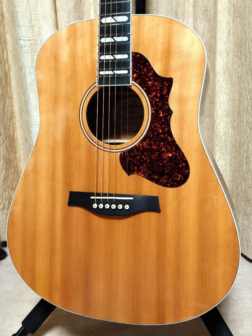 かなり美品 オール単板 ゴダン Godin エレアコ セミハードケース付