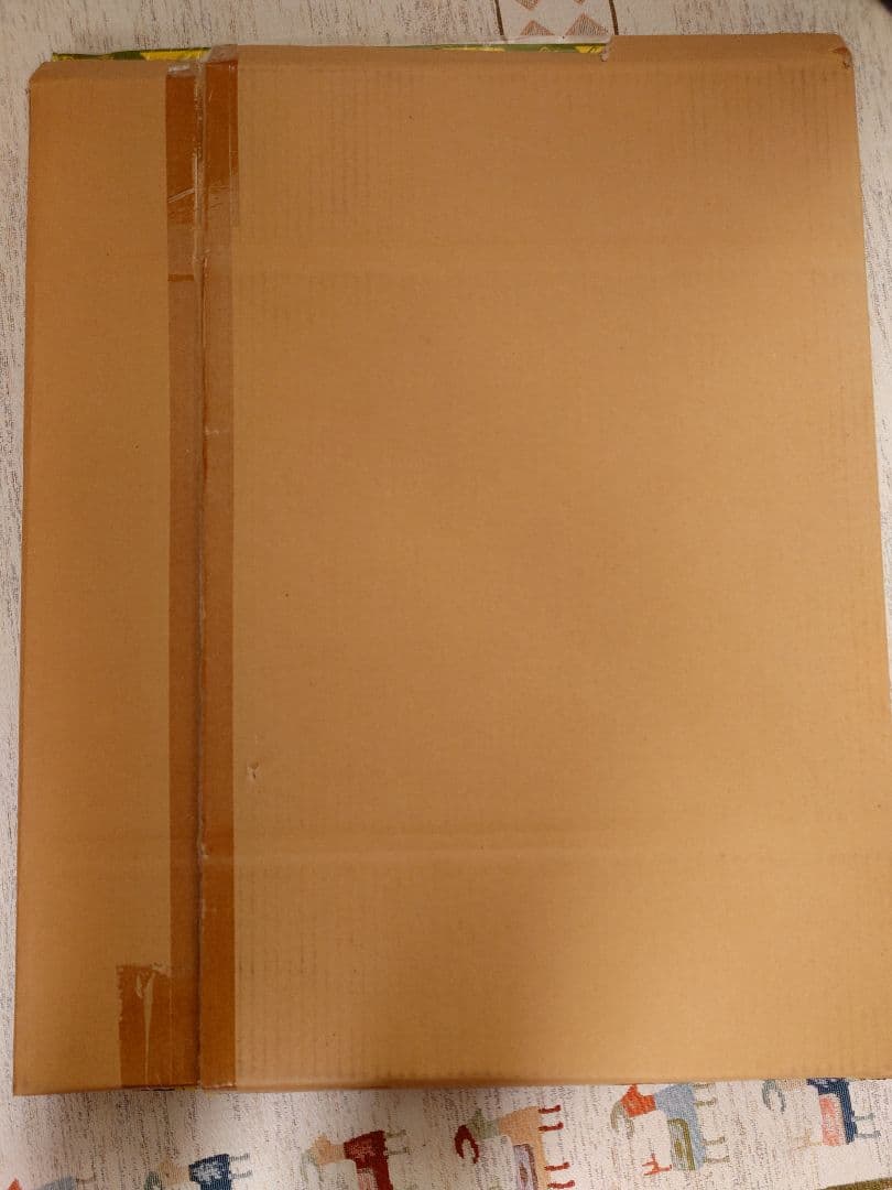 受注生産品 綾波レイ 貞本義行 複製原画