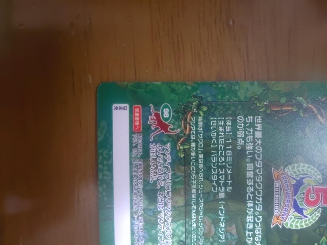 ムシキング　マンディブラリスフタマタクワガタ　五周年