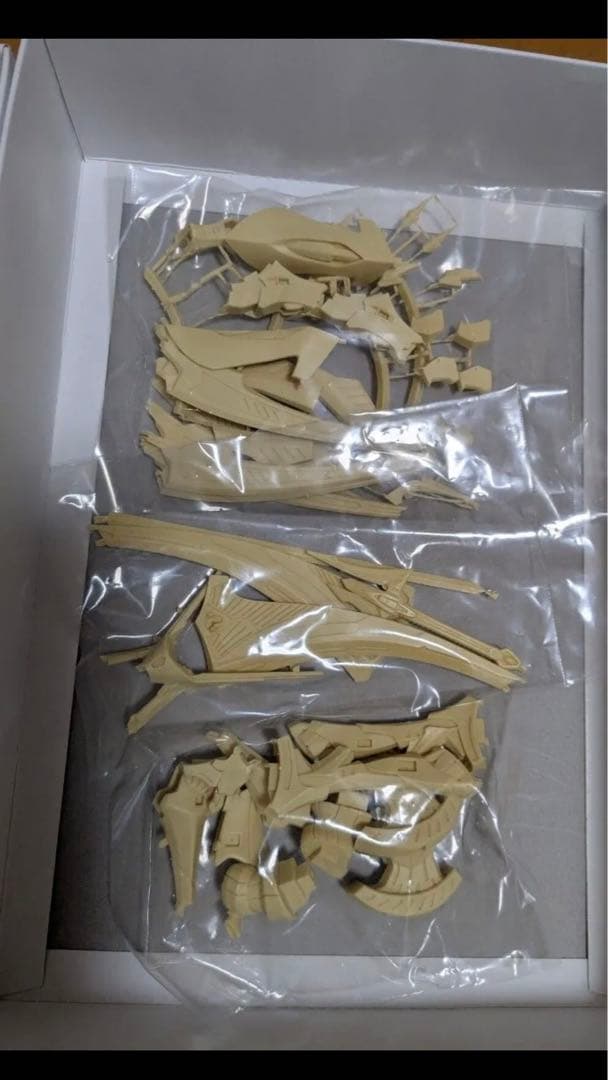 アワートレジャー　1/100 ハイレオン　FSS ガレージキット